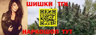 винт Заводоуковск