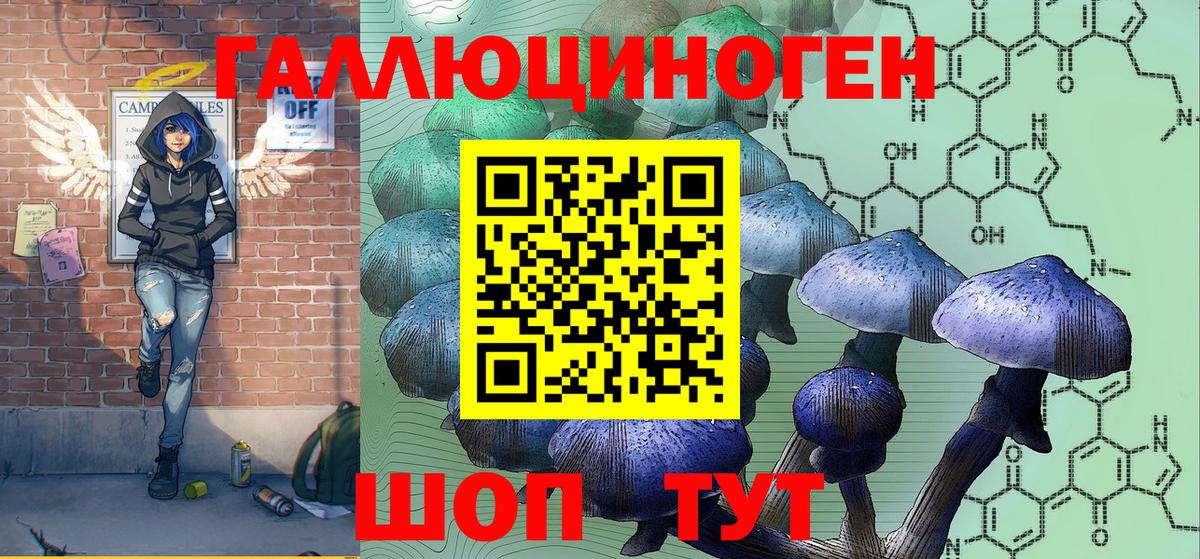 Галлюциногенные грибы Magic Shrooms  Вход с VPN  магазин продажи   Калуга  Галлюциногенные грибы прущие грибы 